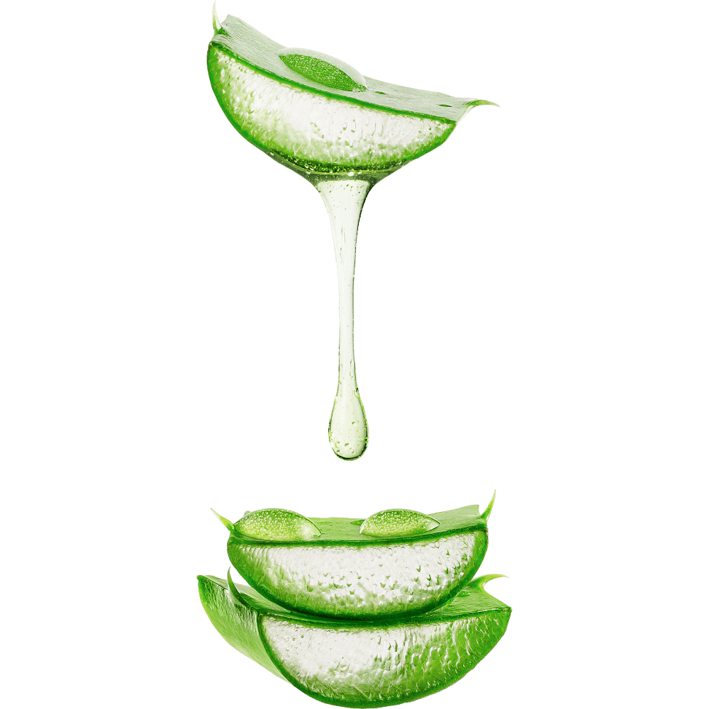 image_aloes